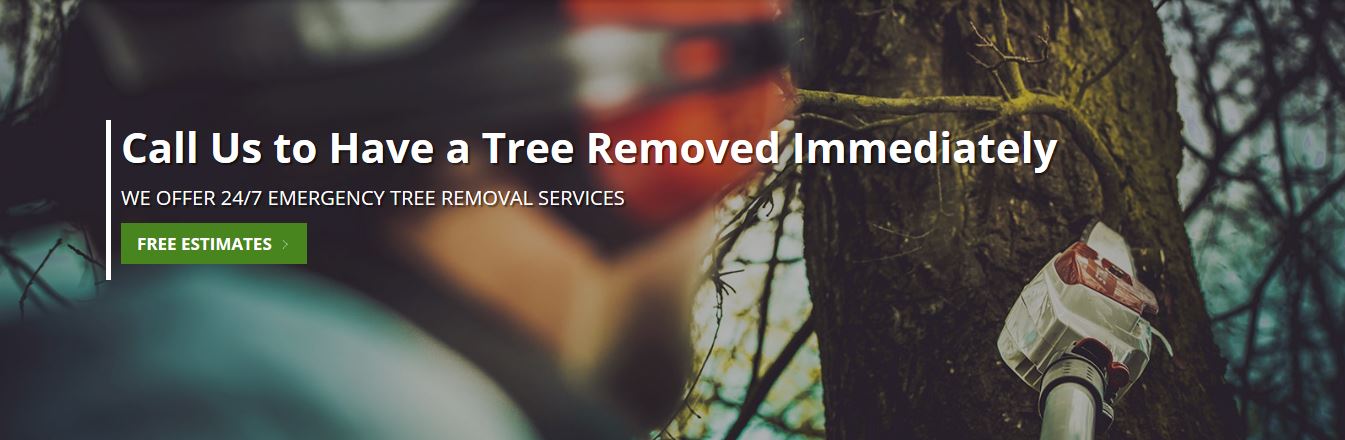 Gainesville Arborists Tree Service
