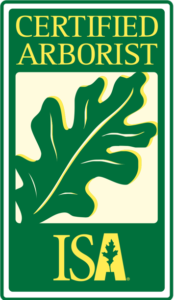 Certified Arborist Gainesville